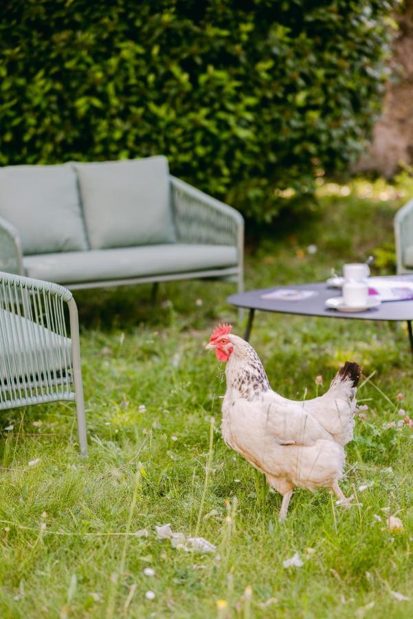 Les Pénates Appartamento Mazamet Esterno foto